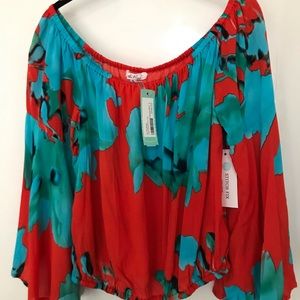 Beautiful new blouse from stitch fix “On the road”